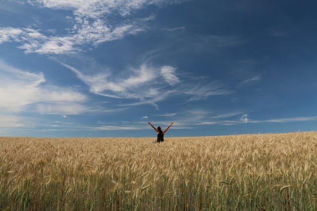 persoon in wheat field with hands in the air and blue sky with clouds