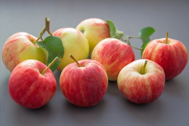 homework success:apples as healthy snacks